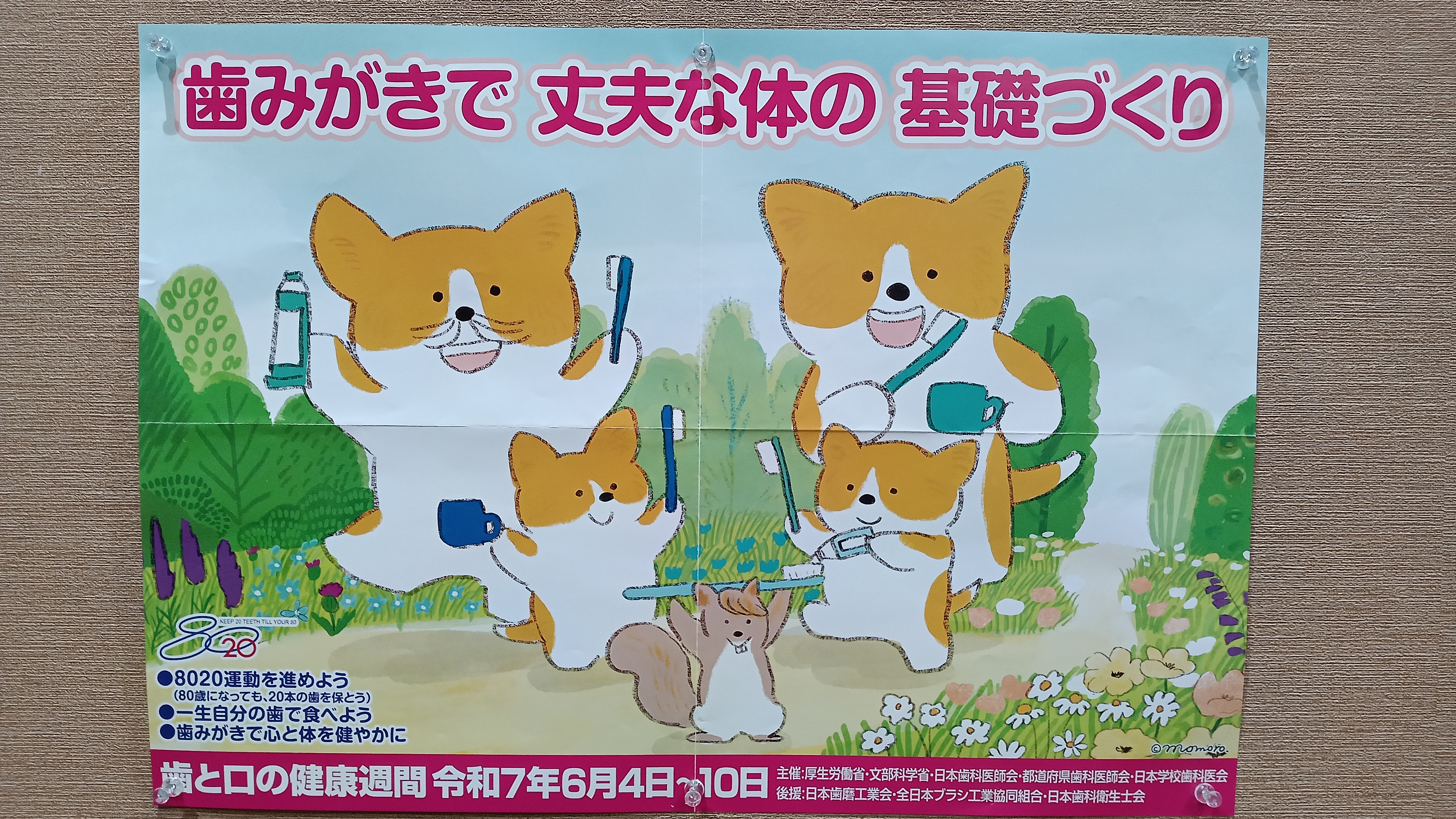 Amazon.co.jp: 名探偵コナン PART20 Vol.3 [DVD] : 高山みなみ
