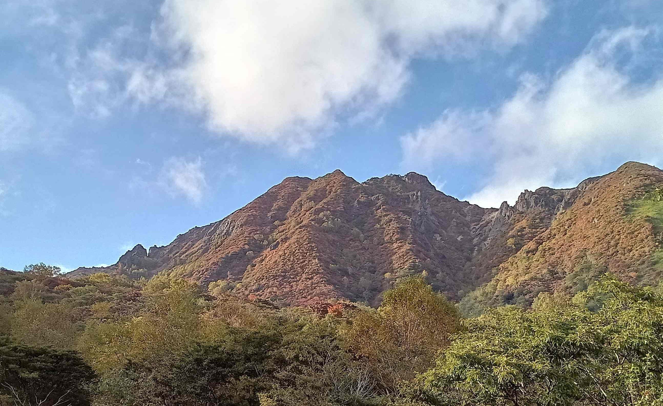 小鉢 医院通信｜クロスガーデンデンタルクリニック｜東京都多摩センター